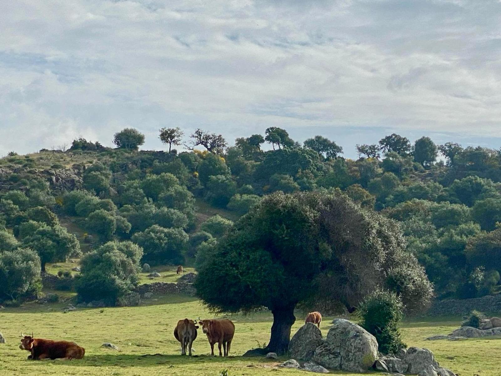 Casa Rural Valle Secreto Торремоча Экстерьер фото