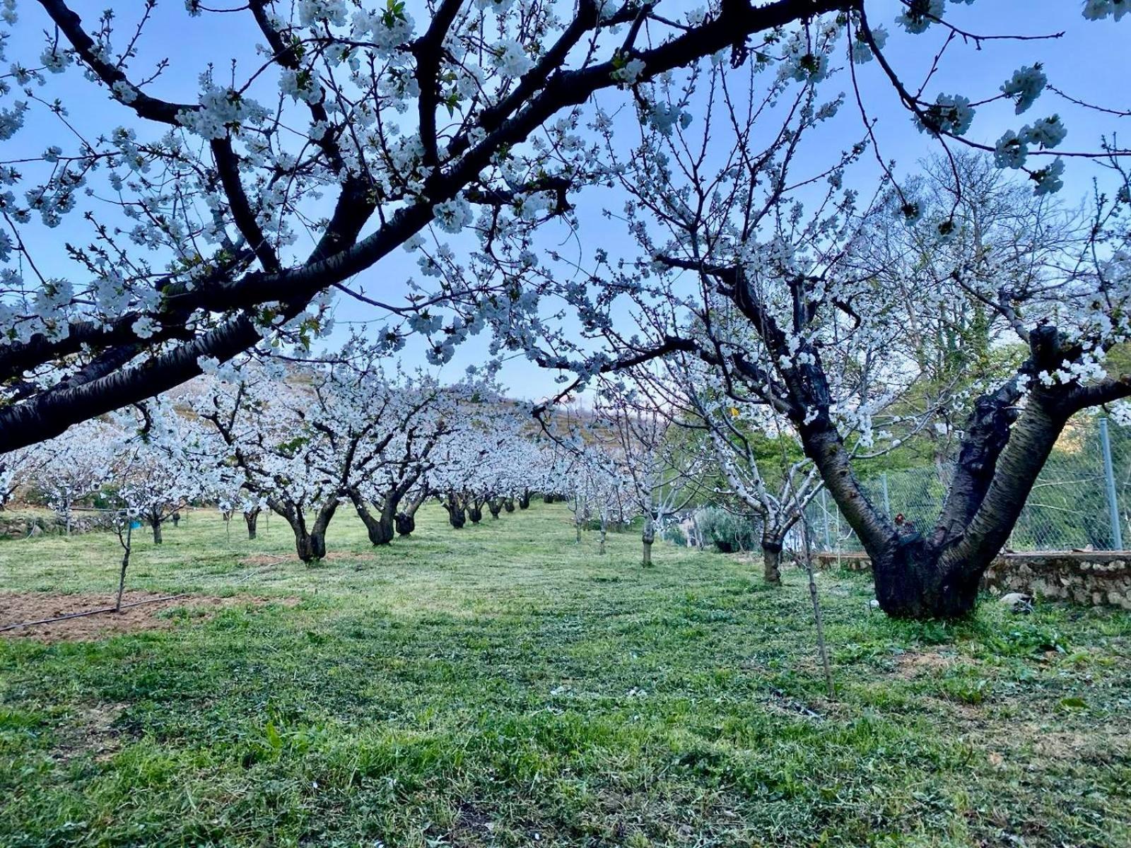 Casa Rural Valle Secreto Торремоча Экстерьер фото